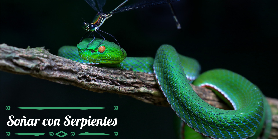 soñar con serpientes