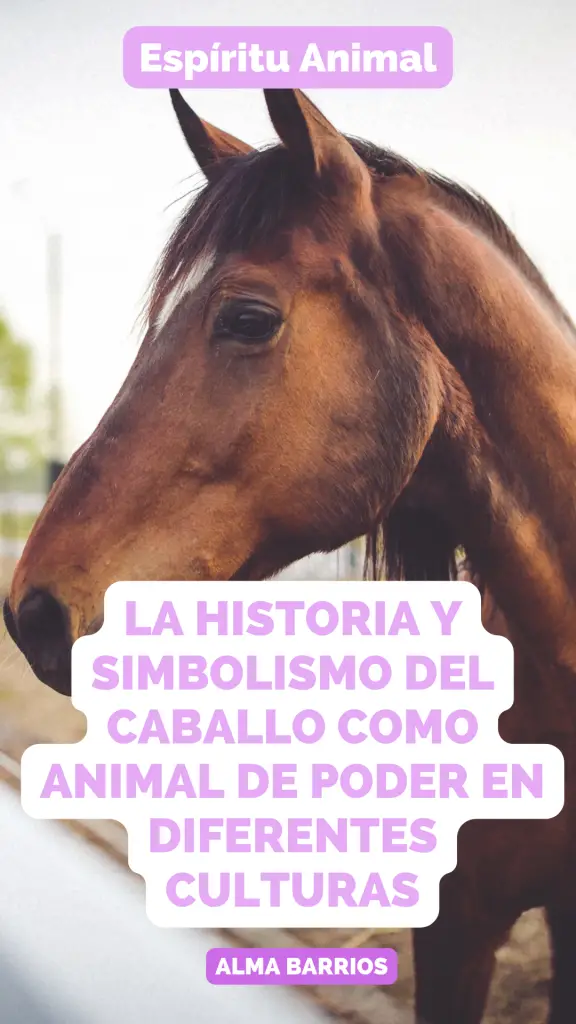 La historia y simbolismo del caballo como animal de poder en diferentes culturas