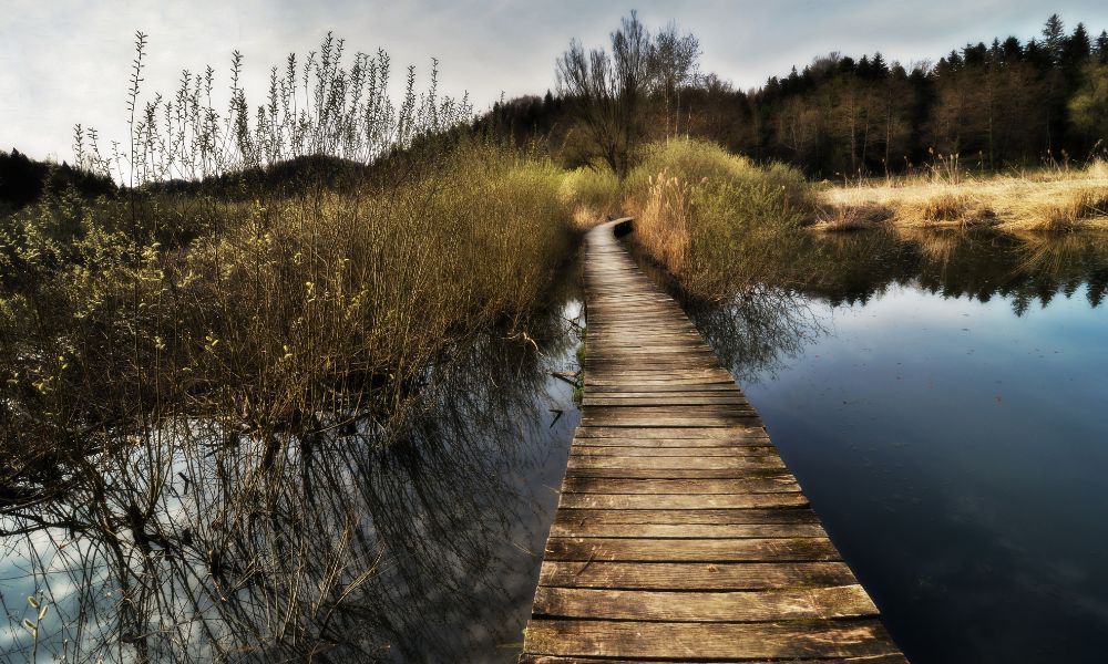 La transformación espiritual: Cómo el despertar de la conciencia puede llevarte a la felicidad y la paz interior